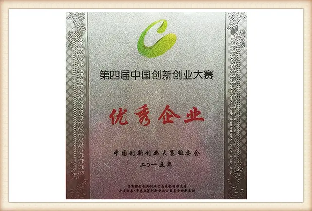Outstanding Enterprise of China Innovation and Entrepreneurship Competitionwsa