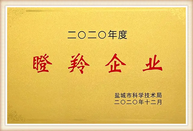 Yancheng Gazelle Enterprise5cs