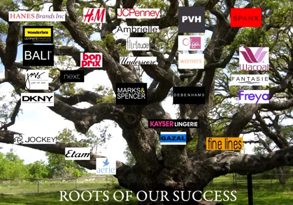 2026 Bra Cup Laminating Machine